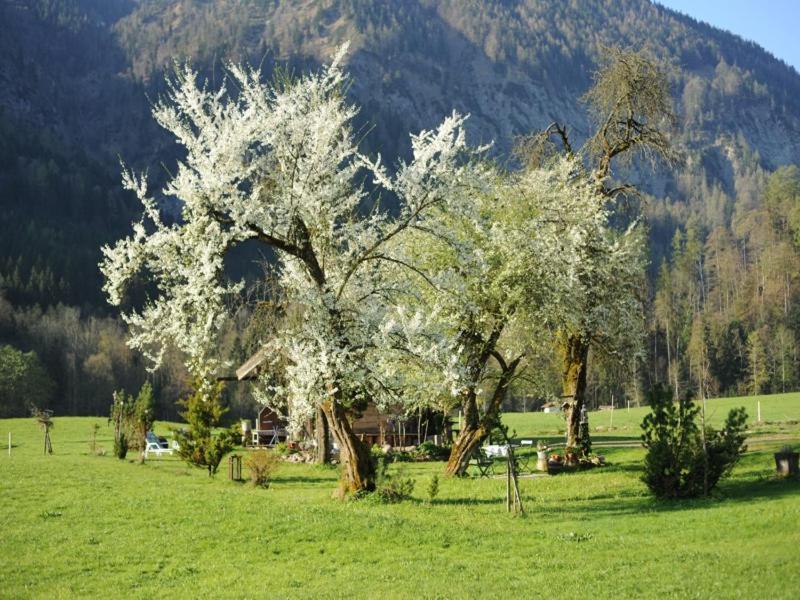 Hansenbauernhof Inkl. Chiemgaukarte โรพอลดิง ภายนอก รูปภาพ